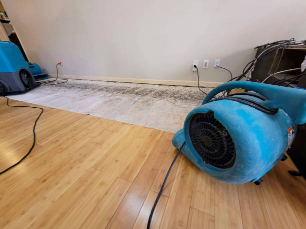 Professional Structural Drying technician working in Maywood, IL
